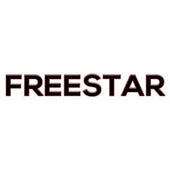 Ford Freestar Keyless Remotes Key Fobs