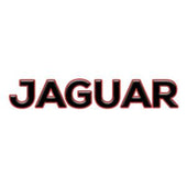 Jaguar Emergency Key Blanks