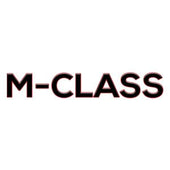 Mercedes M-Class Keyless Entry Remotes