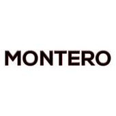 Mitsubishi Montero Keyless Entry Remotes