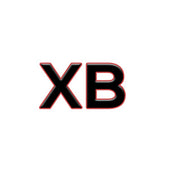 Scion XB Keyless Entry Remotes
