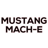 Ford Mustang Mach-E Keyless Entry Remotes