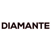 Mitsubishi Diamante Keyless Entry Remotes