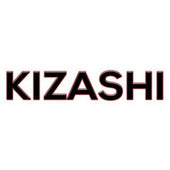 Suzuki Kizashi Keyless Entry Remotes