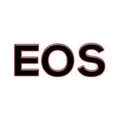 Volkswagen EOS Keyless Entry Remotes